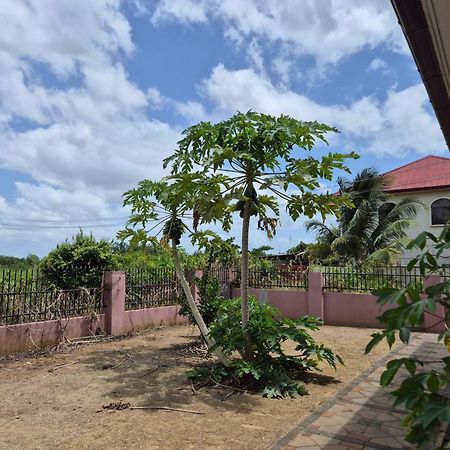 Chander'S Villa Paramaribo Exteriér fotografie